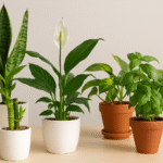 7 Plantas que Purificam o Ar e Trazem Sorte Segundo o Feng Shui Transforme Seu Lar com Verde e Energia